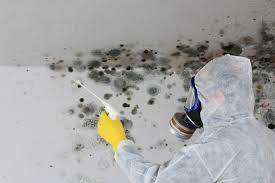 Best Asbestos and Lead Testing During Mold Inspection  in Huntington Station, NY